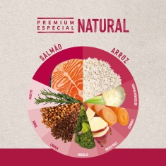Ração Quatree Life para Gatos Adultos Sabor Salmão e Arroz