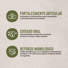 Ração Quatree Life para Cães Adultos de Raças Médias e Grandes Sabor Frango e Arroz