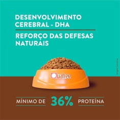 Ração Quatree Supreme para Gatos Filhotes Sabor Salmão e Batata Doce 10,1 kg