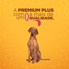 Ração Quatree Gourmet para Cães Adultos Porte Médio e Grande Sabor Mix de Carnes