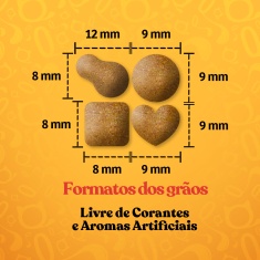 Ração Quatree Gourmet para Cães Adultos de Porte Pequeno