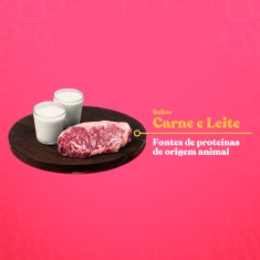 Ração Quatree Gourmet para Gatos Filhotes Sabor Carne e Leite
