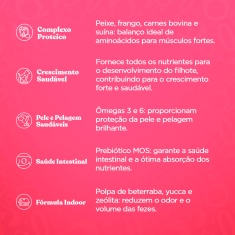 Ração Quatree Gourmet para Gatos Filhotes Sabor Carne e Leite