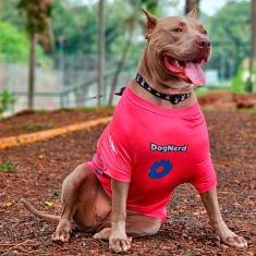 Roupa Dognerd Donuts Rosa com UV50 para Cães