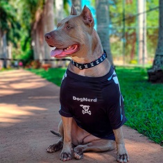 Roupa Dognerd Esqueleto com UV50 Preta para Cães