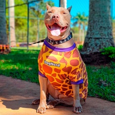 Roupa Dognerd Girafa com UV50 Amarela para Cães