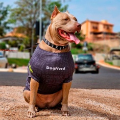 Roupa Dognerd Só Tô Aqui Pela Comida com UV50 Cinza para Cães