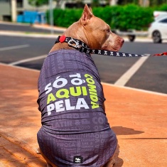 Roupa Dognerd Só Tô Aqui Pela Comida com UV50 Cinza para Cães