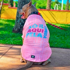 Roupa Dognerd Só Tô Aqui Pela Comida com UV50 Rosa para Cães