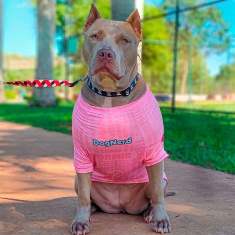 Roupa Dognerd Só Tô Aqui Pela Comida com UV50 Rosa para Cães