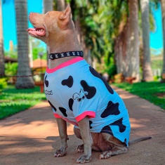 Roupa Dognerd Pela Vaquinha com UV50 Preto e Branco para Cães