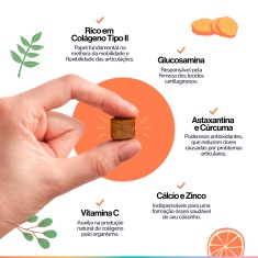 Suplemento Alimentar Buddy Nutrition Ossos & Articulações Sabor Carne para Cães - 60 Tabletes
