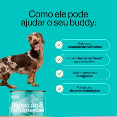 Suplemento Alimentar Buddy Nutrition Digestão & Flora Intestinal Sabor Carne Suína para Cães - 60 Tabletes