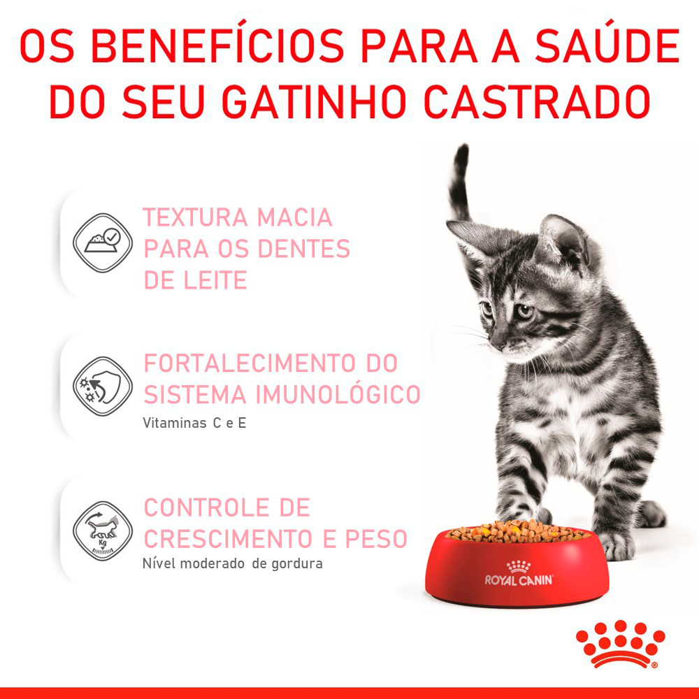 Ração Úmida Royal Canin Sachê Jelly para Gatos Filhotes Castrados de até 12 meses - 85g