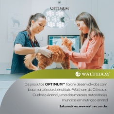 Ração Úmida Optimum Sachê para Gatos Adulto Sabor Carne 85 g