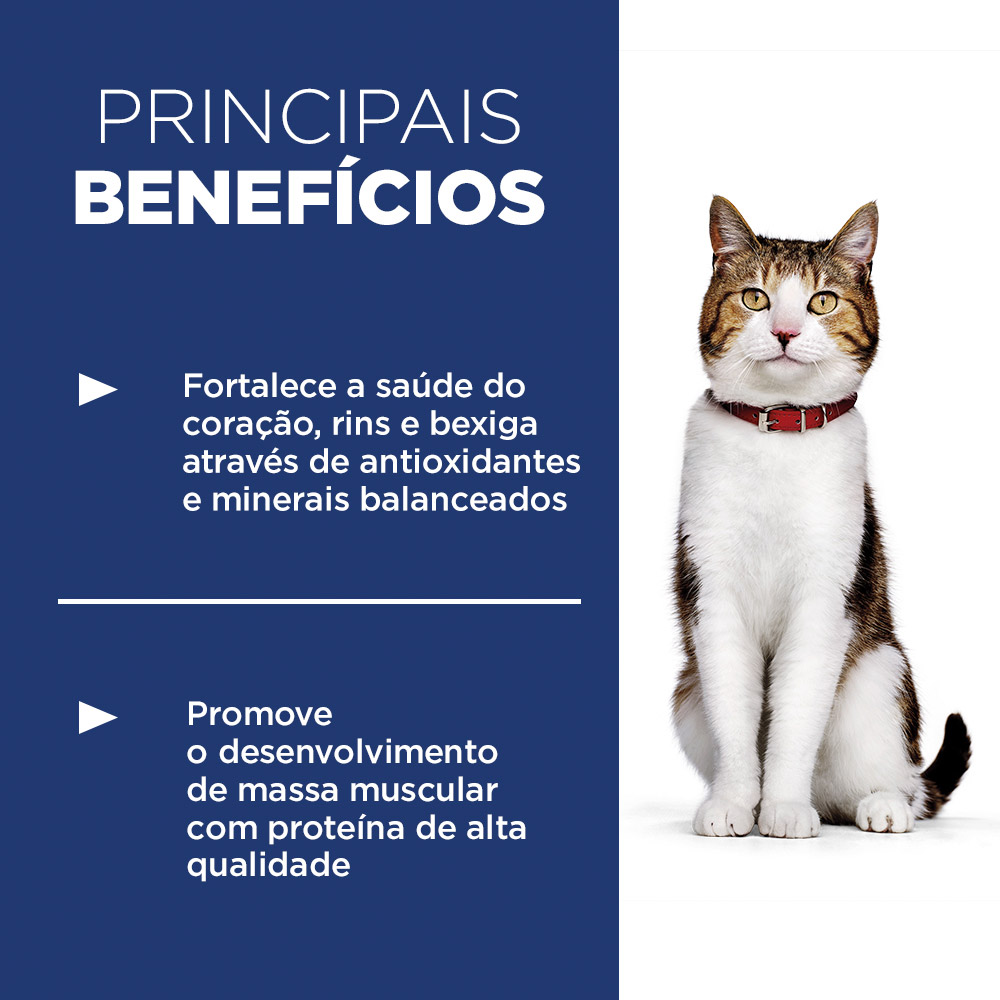 Ração Seca Hill's Science Diet Adulto 7+ para Gatos Idosos Sabor Frango
