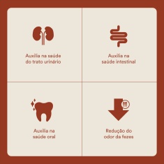 Ração Selections For Pet para Gatos Adultos Sabor Carne