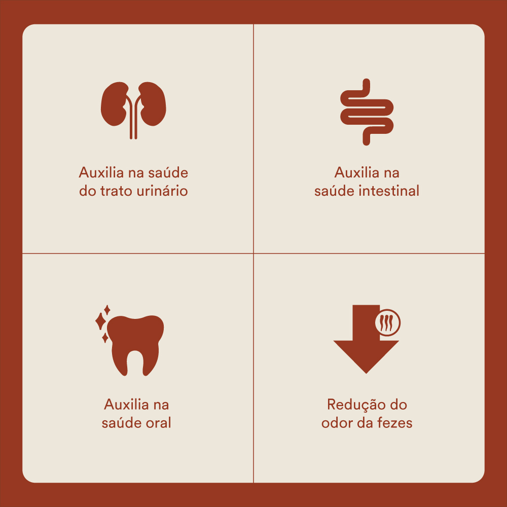 Ração Selections For Pet para Gatos Adultos Castrados Sabor Salmão