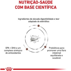 Ração Royal Canin Veterinary Diet Gastrointestinal Gatos com Doenças Intestinais