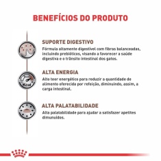Ração Royal Canin Veterinary Diet Gastrointestinal Gatos com Doenças Intestinais