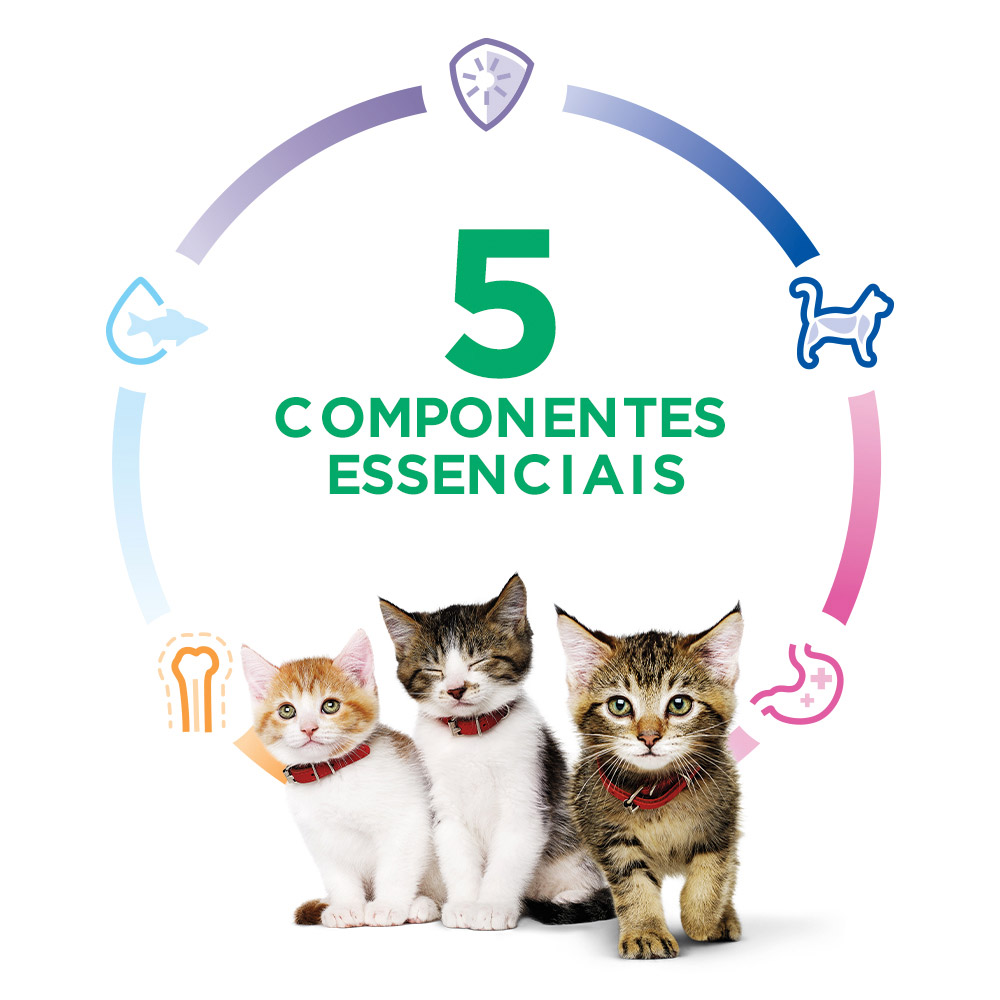 Ração Seca Hill's Science Diet para Gatos Filhotes Sabor Frango