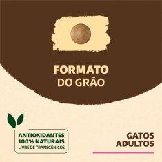 Ração Quatree Supreme para Gatos Adultos Sabor Salmão e Batata Doce