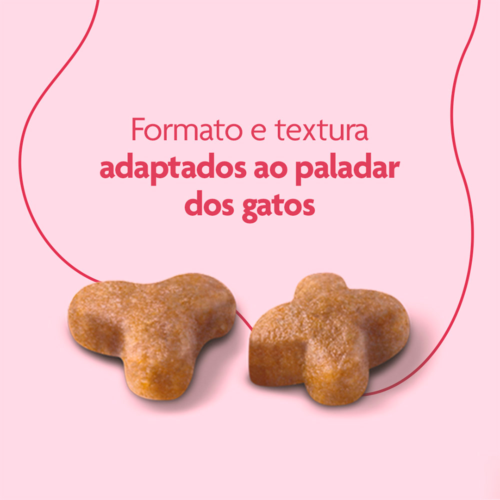 Ração Royal Canin Cat Premium Kitten Gatos Filhotes