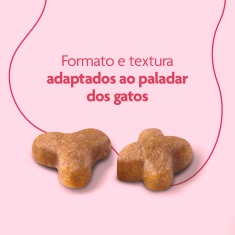 Ração Royal Canin Cat Premium Kitten Gatos Filhotes