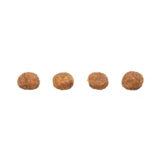 Ração GranPlus para Gatos Filhotes Sabor Frango e Arroz