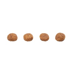 Ração GranPlus para Gatos Filhotes Sabor Frango e Arroz