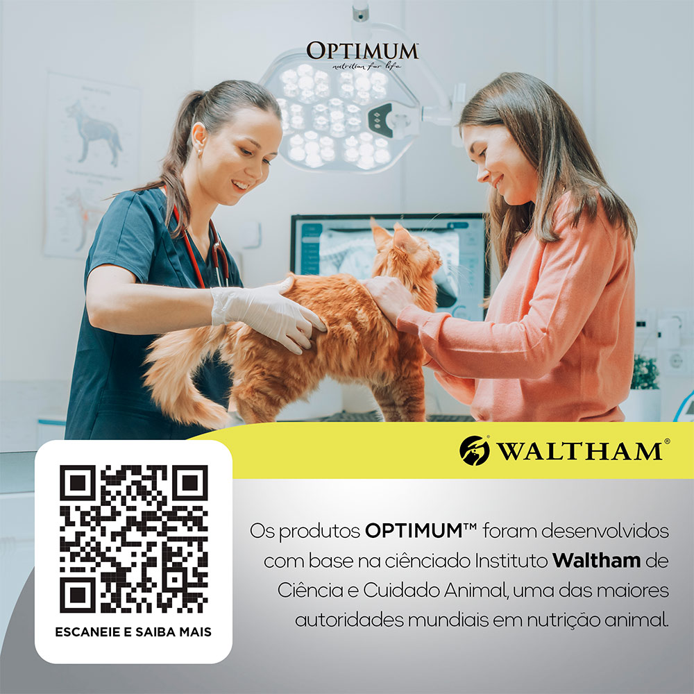 Ração Optimum para Gatos Adultos 1+ anos sabor Carne