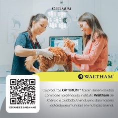 Ração Optimum para Gatos Adultos 1+ anos sabor Carne