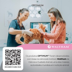 Ração Optimum para Gatos Filhotes de 2 à 12 meses sabor Frango