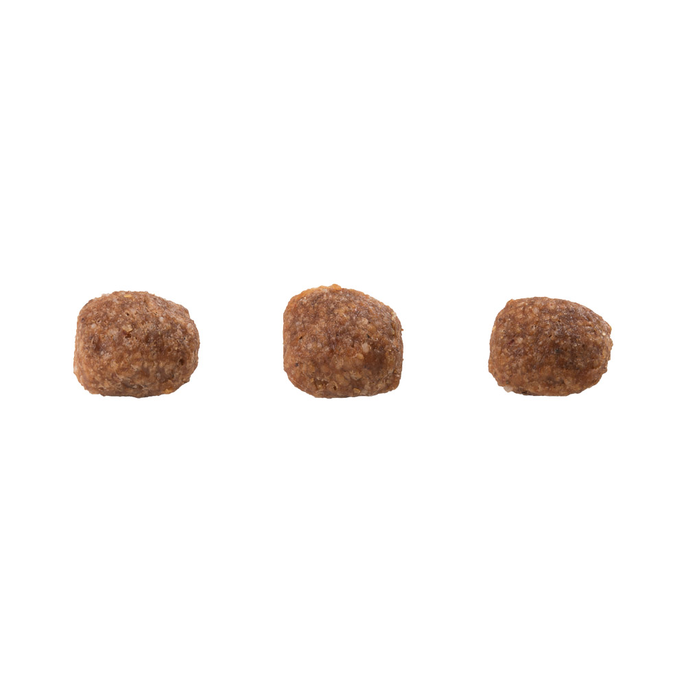 Ração GranPlus Gourmet para Gatos Filhotes Sabor Salmão e Frango