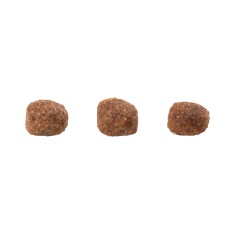 Ração GranPlus Gourmet para Gatos Filhotes Sabor Salmão e Frango