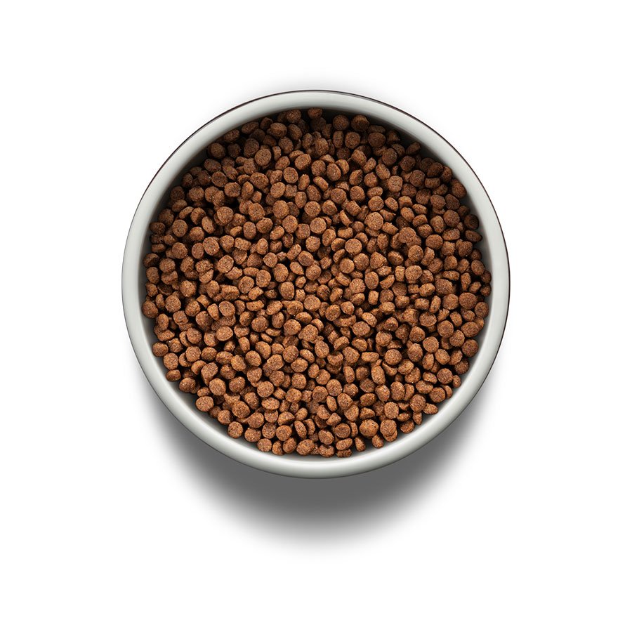 Ração Guabi Natural para Gatos Filhotes Sabor Frango e Arroz Integral 1,5 kg