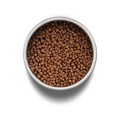 Ração Guabi Natural para Gatos Filhotes Sabor Frango e Arroz Integral 1,5 kg