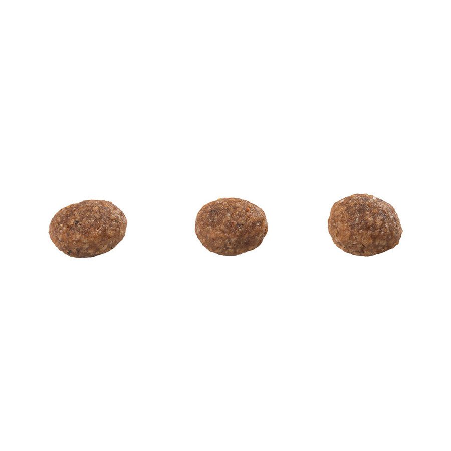 Ração Guabi Natural para Gatos Filhotes Sabor Frango e Arroz Integral 1,5 kg
