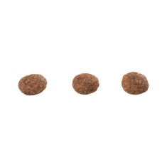 Ração Guabi Natural para Gatos Filhotes Sabor Frango e Arroz Integral 1,5 kg