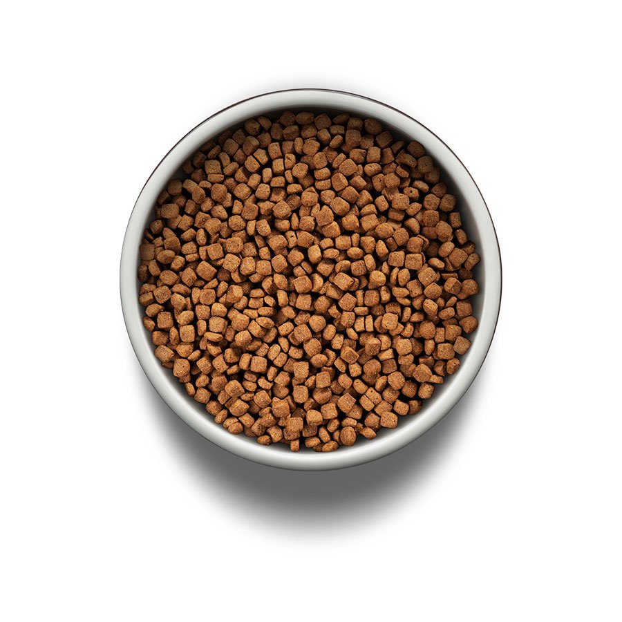 Ração Guabi Natural para Gatos Adultos Castrados Sabor Frango e Arroz Integral