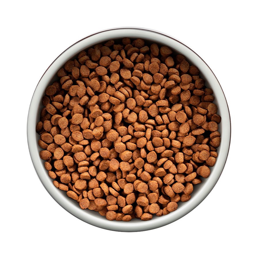 Ração Guabi Natural para Gatos Adultos Castrados Sabor Cordeiro e Aveia