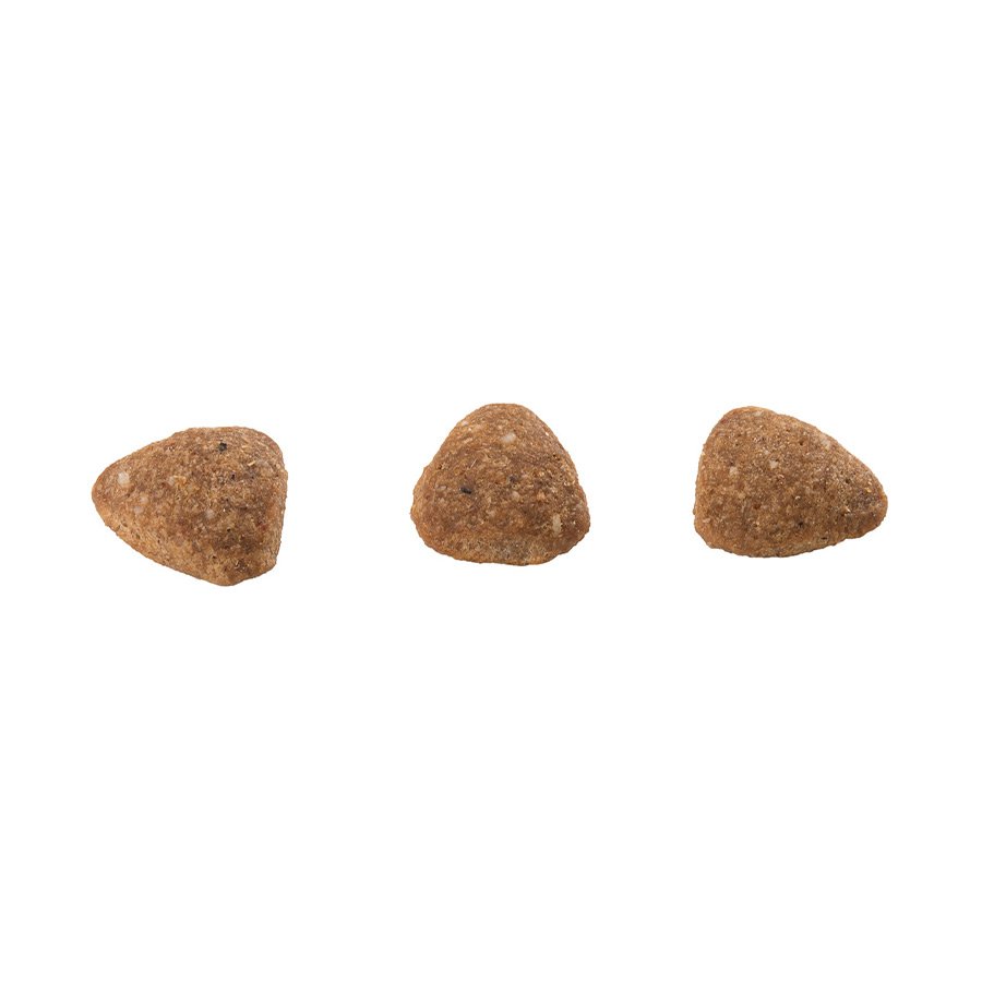 Ração Guabi Natural para Gatos Sênior Castrados Sabor Frango e Arroz