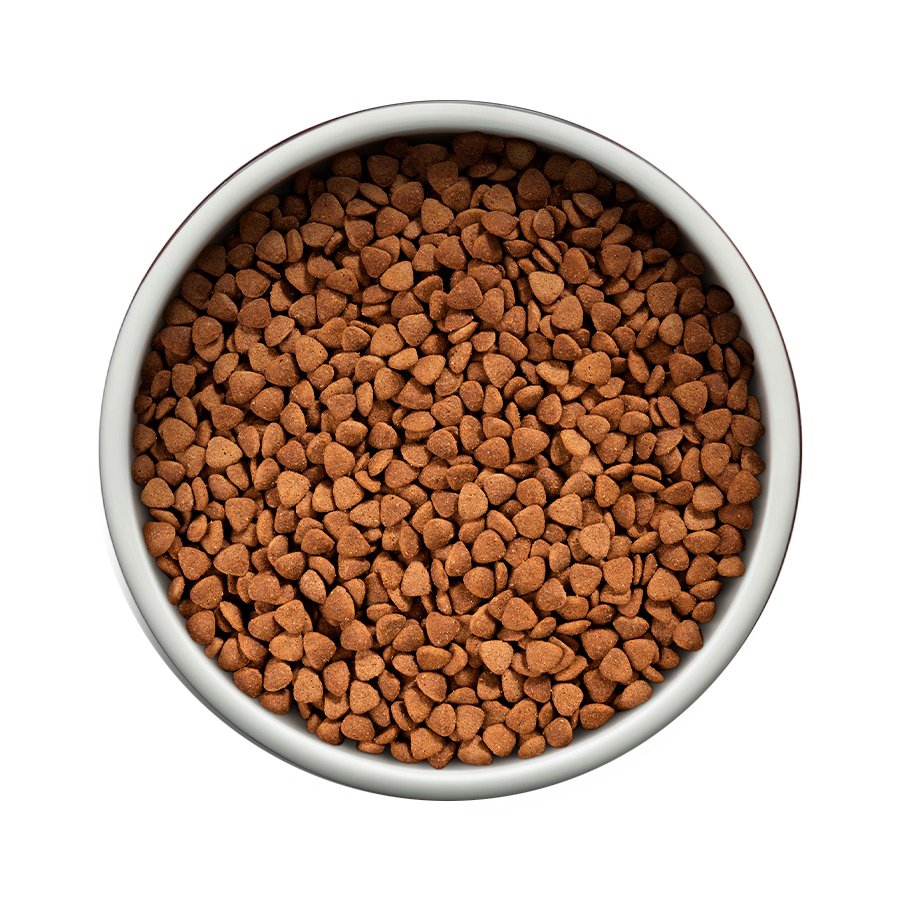 Ração Guabi Natural para Gatos Sênior Castrados Sabor Frango e Arroz