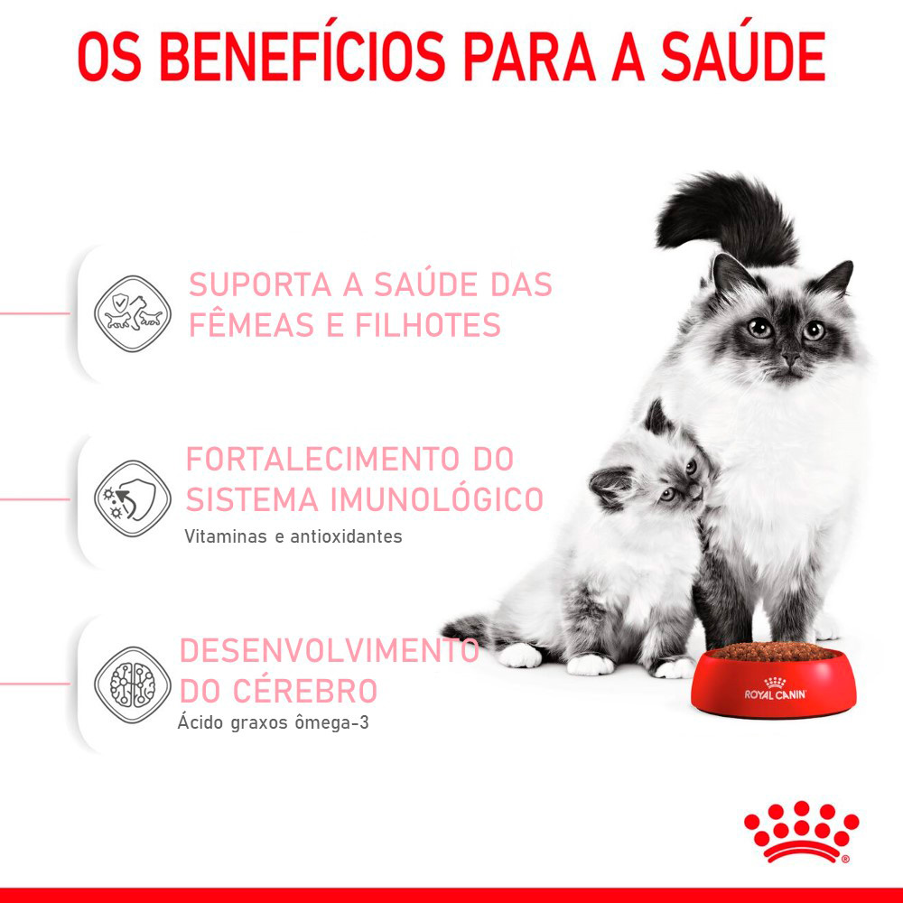 Ração Royal Canin Mother & Babycat para Gatas Gestantes e Lactantes e Gatos Filhotes de 1 a 4 Meses de Idade