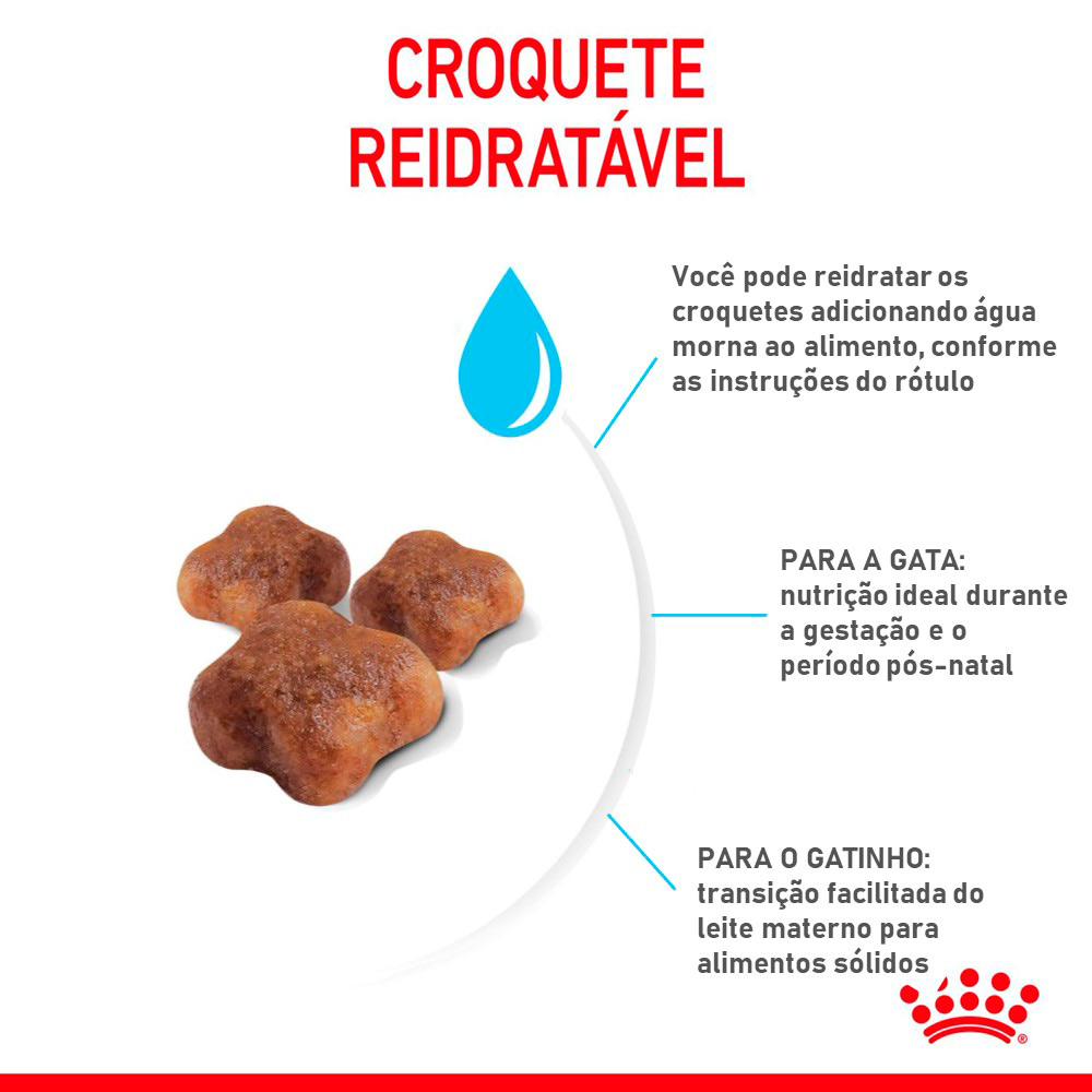 Ração Royal Canin Mother & Babycat para Gatas Gestantes e Lactantes e Gatos Filhotes de 1 a 4 Meses de Idade