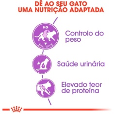 Ração Royal Canin para Gatos Adultos Castrados