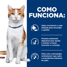 Ração Seca Hill's Prescription Diet ONC Care Cuidado Oncológico para Gatos 3.17kg
