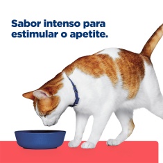 Ração Seca Hill's Prescription Diet ONC Care Cuidado Oncológico para Gatos 3.17kg