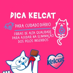 Snack Kelcat para Gatos Sabor Atum - 40g