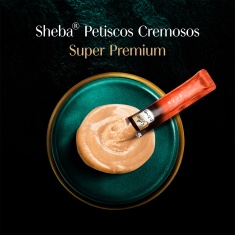 Petisco Sheba Cremoso Sabores Atum e Atum & Camarão Gatos Adultos 4 Unidades